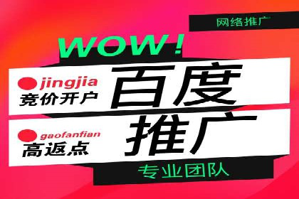 搜索引擎营销（SEM）公司某某的客户成功故事